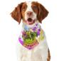 Preview: Hunde-Bandana Cindy - Popart Hundedesign, 100 % Polyester, 70x30 cm, verstellbar, waschbar